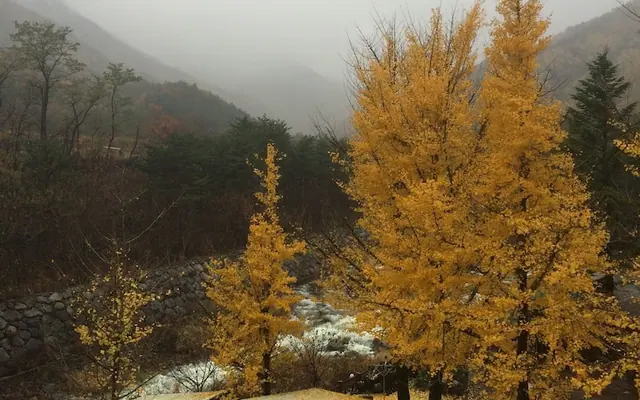 스마일 리조트 전망