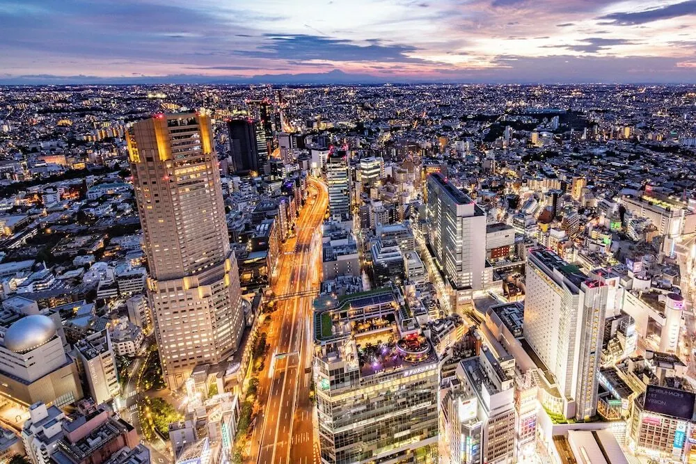 세룰리언 타워 도큐 호텔 대표 사진