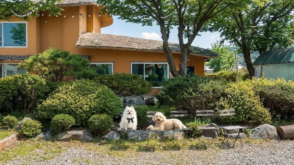 대부도 반딧불펜션 대표 사진