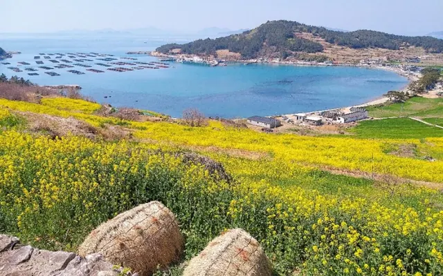 완도 청산도올레펜션 전망