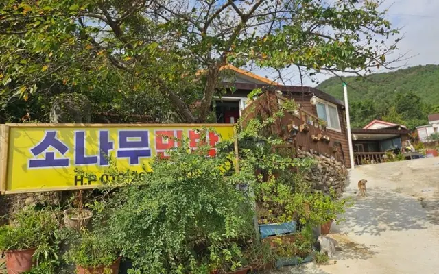 완도(청산도) 소나무펜션 — 완도 펜션