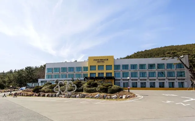 칠포 파인비치호텔 — 포항 호텔