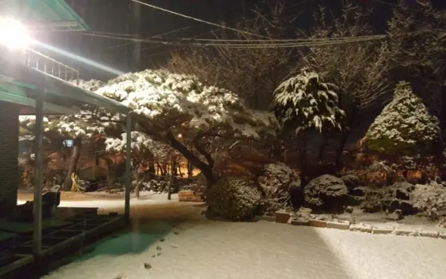 파주 솔밭민박펜션 외관