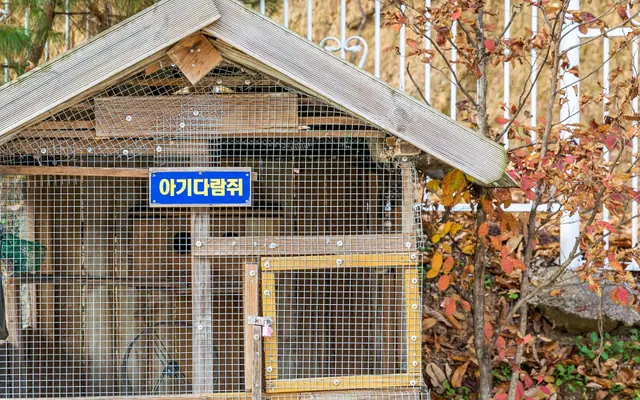 제천 무도글램핑카라반 외관