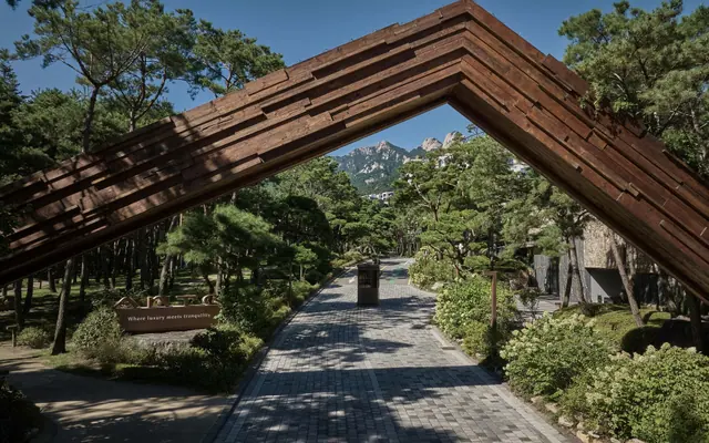 안토 사진