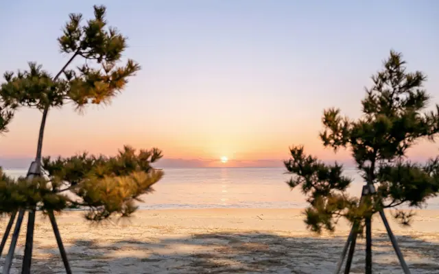 삼척 라메르펜션 전망