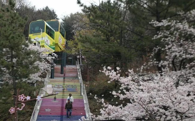 하운드호텔 창원터미널점 — 창원 호텔