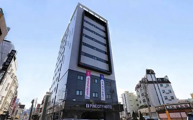 강릉 파인시티호텔 — 강릉 호텔