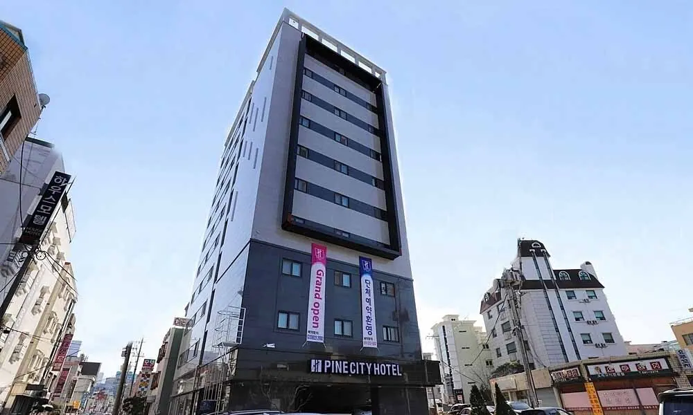 강릉 파인시티호텔 대표 사진