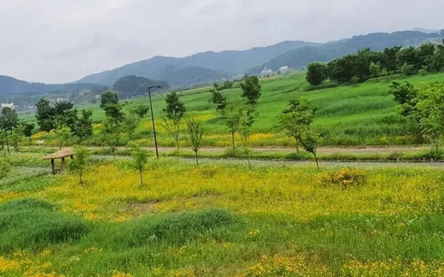 억새정원 펜션 전망