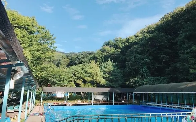 양주 비타민펜션&캠핑장 수영장