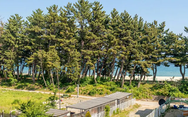 삼척 라메르펜션 전망