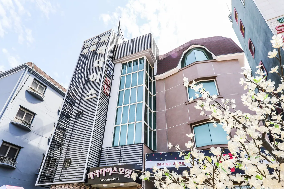 보령(대천) 파라다이스 펜션,모텔 대표 사진