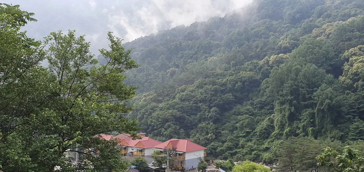 남원 지리산뱀사골맑은물펜션 대표 사진