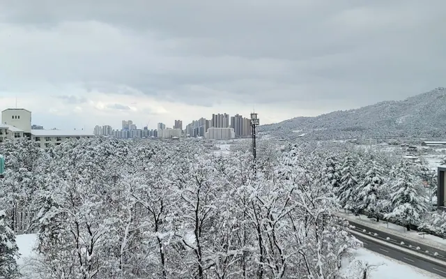 호텔 아마란스 전망