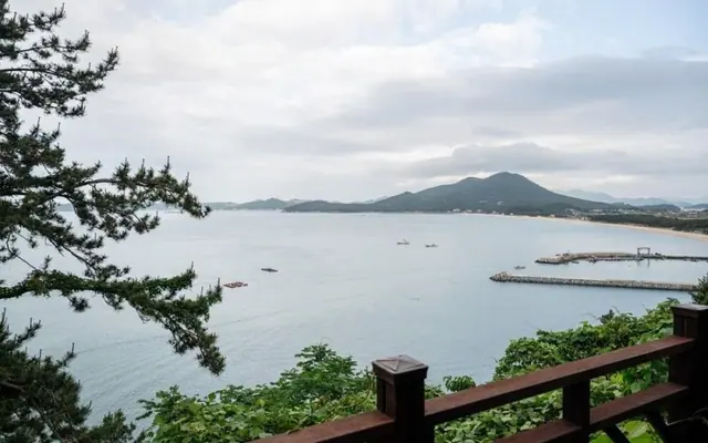 완도 사랑해펜션 전망