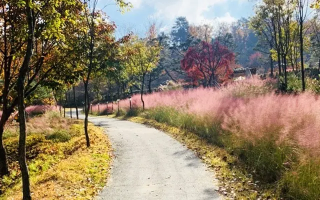파주 동화힐링캠프 전망