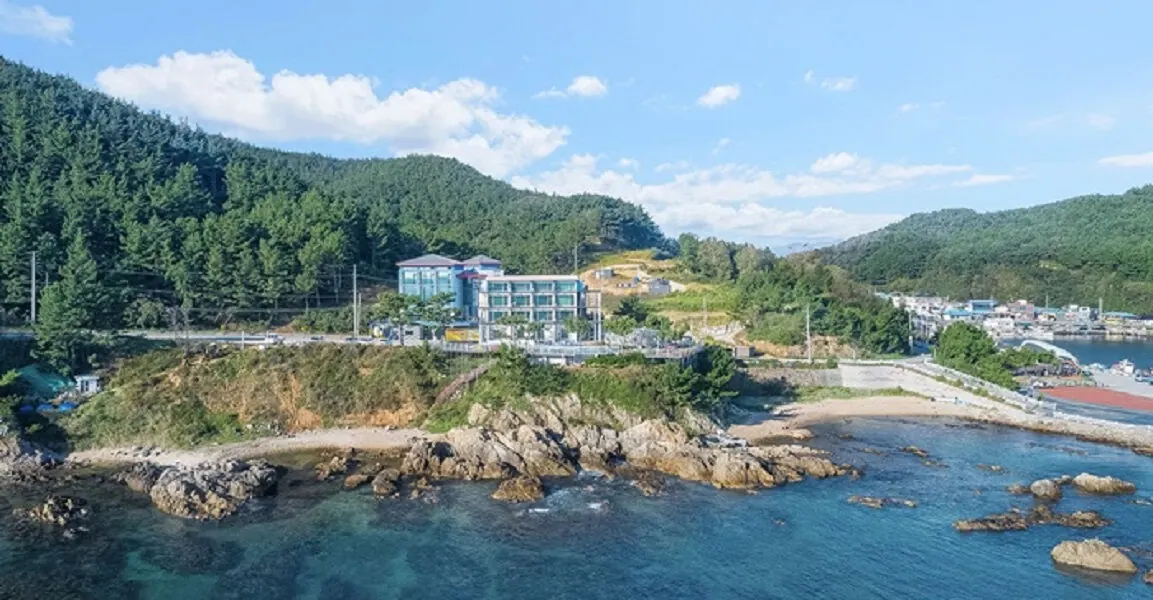 영덕 바다이야기펜션 대표 사진