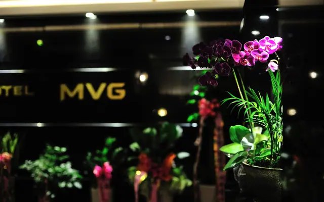 울산 일산 호텔 MVG 로비·리셉션