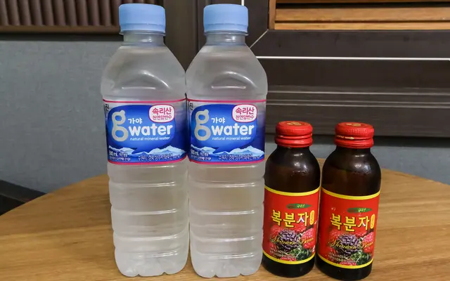 보성 관광모텔 수영장