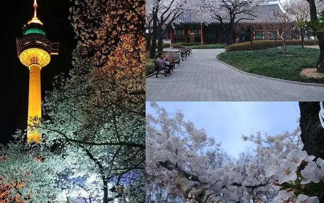 봄고로 게스트하우스 대구 전망