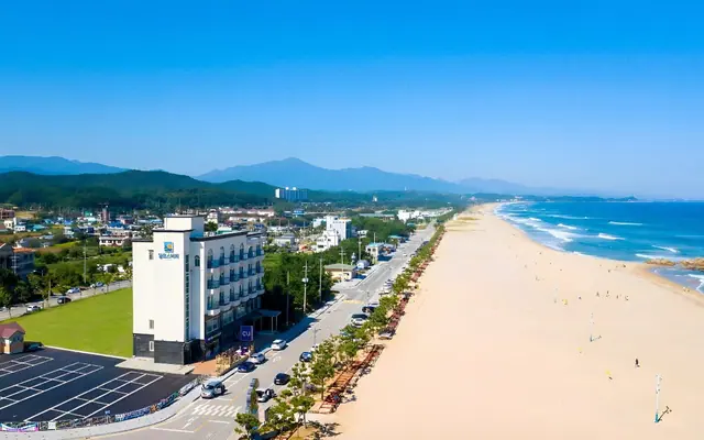양양 알프스비치 — 양양 기타