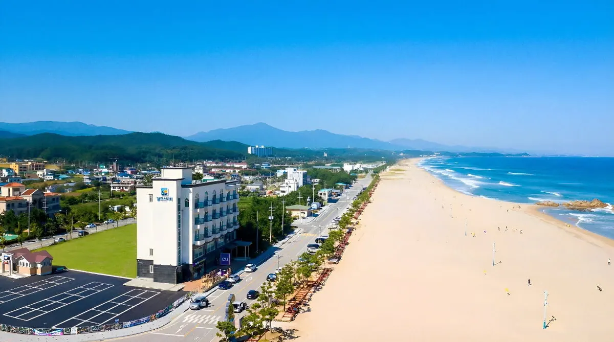 양양 알프스비치 대표 사진