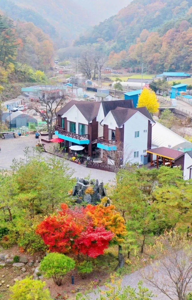 삼척 초당지펜션 대표 사진