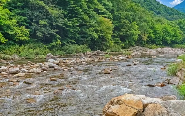 남원 다온펜션 전망