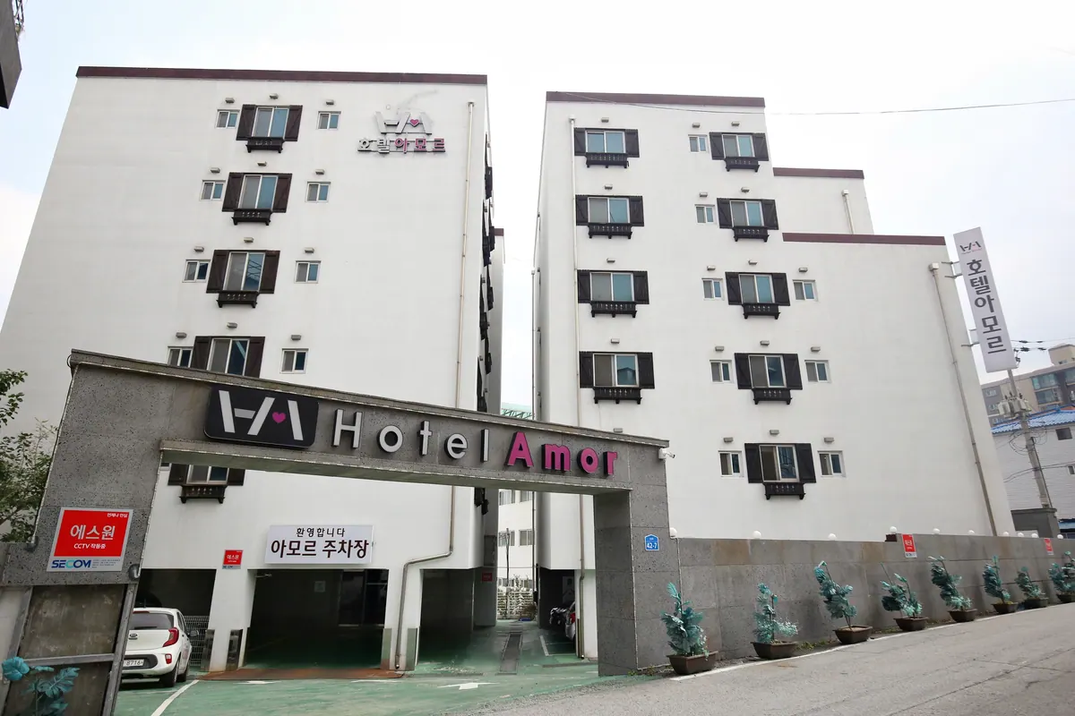 아산 아모르 대표 사진