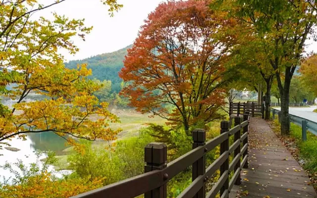 영주 행복한펜션 전망