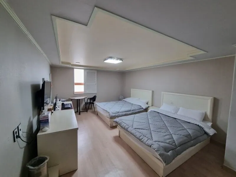 정선 해브굿 대표 사진