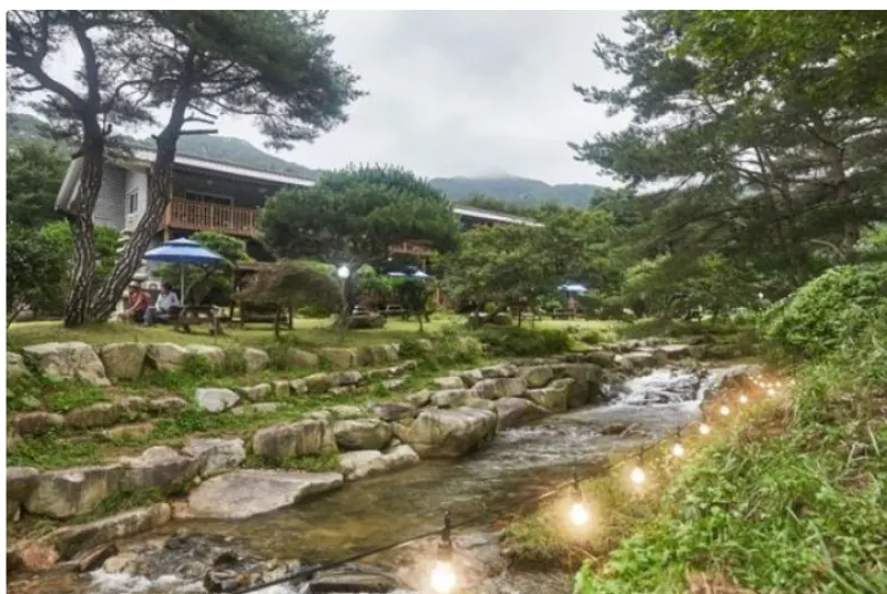 서산 자연의소리펜션 대표 사진