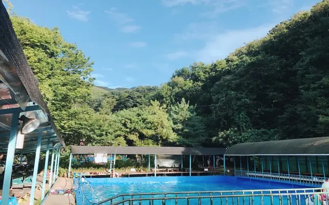 양주 비타민펜션&캠핑장 — 양주 글램핑·캠핑