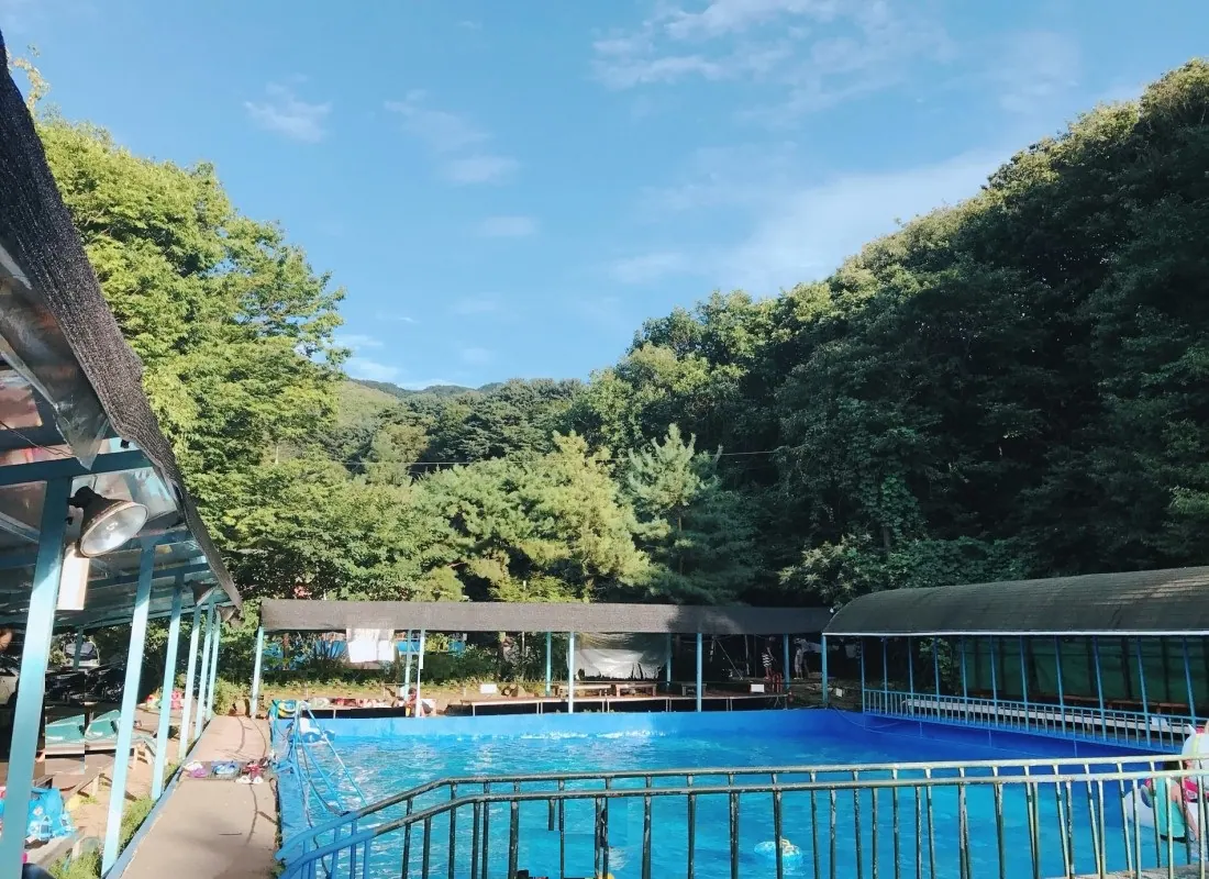 양주 비타민펜션&캠핑장 대표 사진
