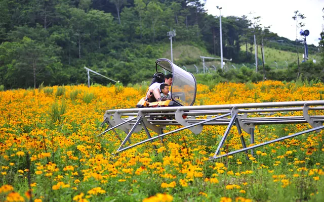 홀리데이 인 리조트 알펜시아 평창 호텔 사진
