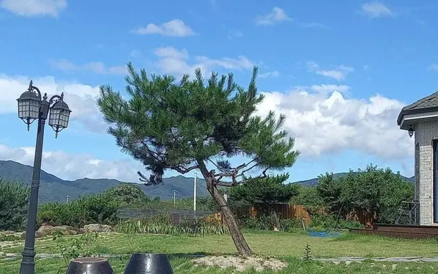 구례 카오스371펜션 전망