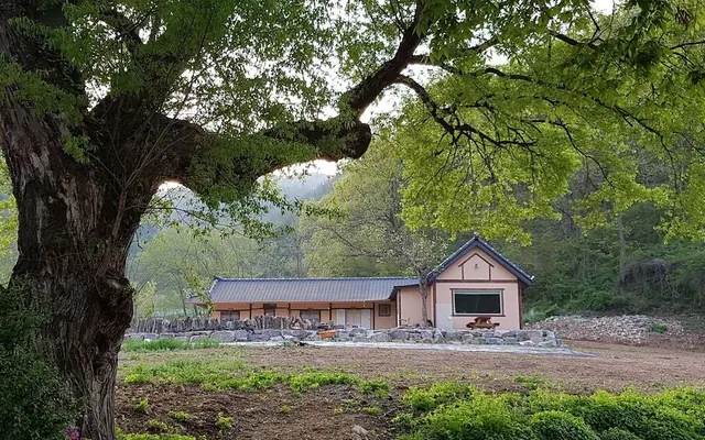 별동산 달빛아래 — 청송 기타