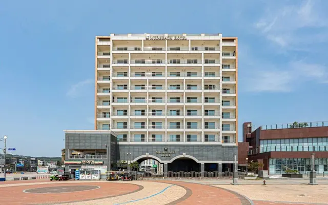 대천 머드비치호텔 — 보령 호텔