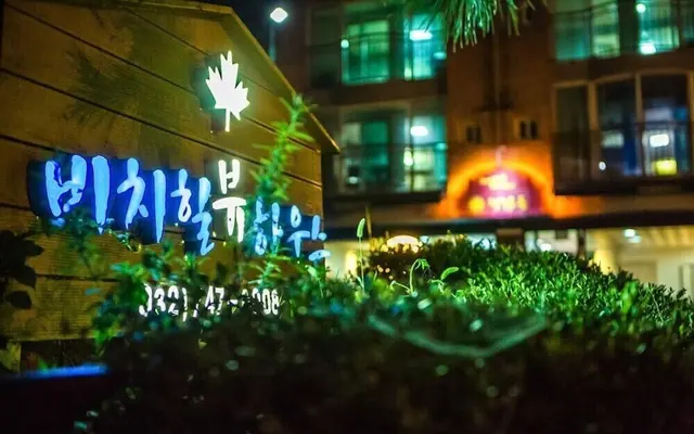 비치힐뷰하우스 — 인천 기타