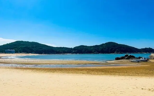 공항 게스트하우스 코인 전망