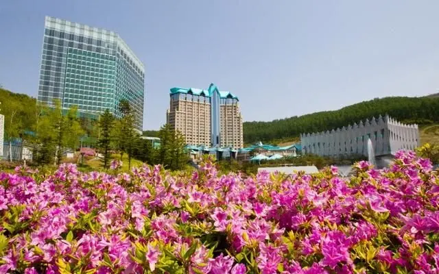하이원 그랜드 호텔 컨벤션타워 외관