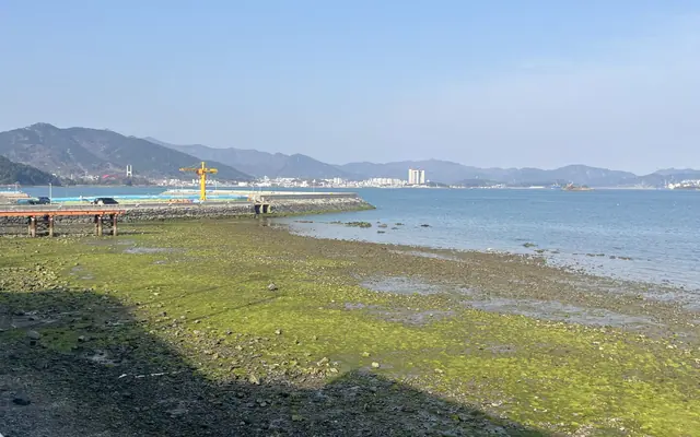 남해 바다빛공간펜션 객실