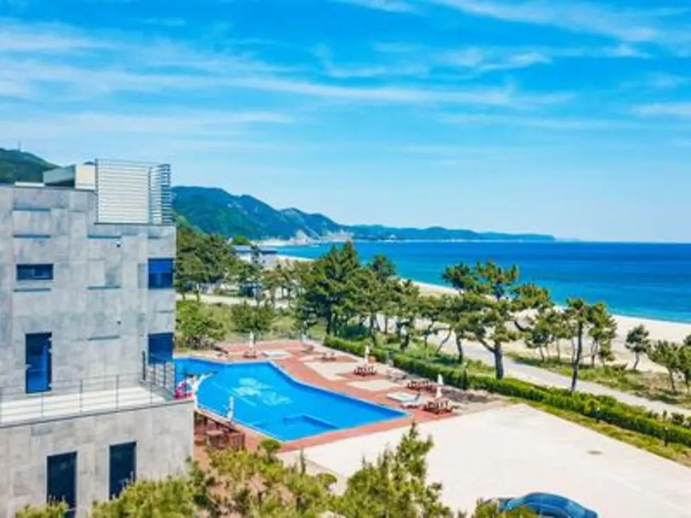 Uljin All Mornings in the World Ocean View Pension 대표 사진