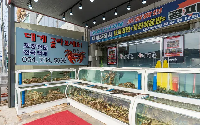 영덕 강구항 호텔 자자(ZAZA) 수영장