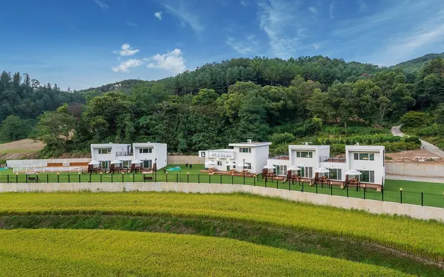 홍천 펫티움펜션 — 홍천 펜션