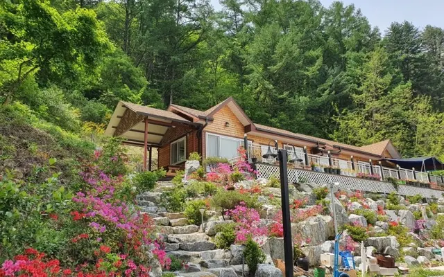 정선 광수네펜션 사우나·스파