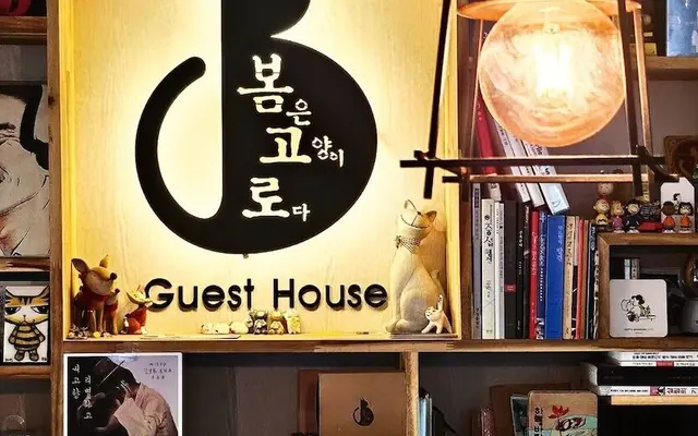 봄고로 게스트하우스 대구 로비·리셉션