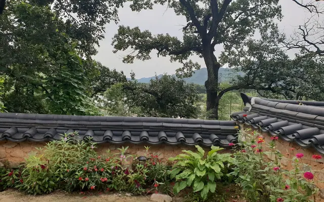 옥연정사 전망