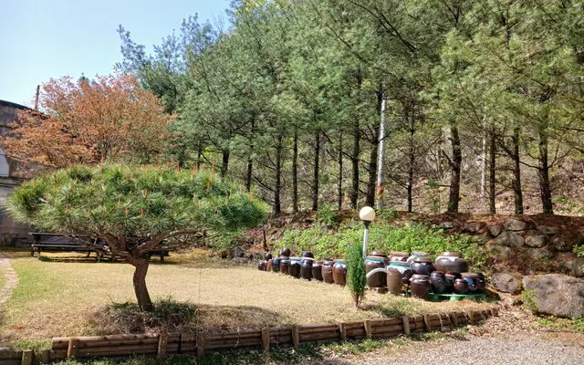 문경 거기그곳에펜션 사우나·스파